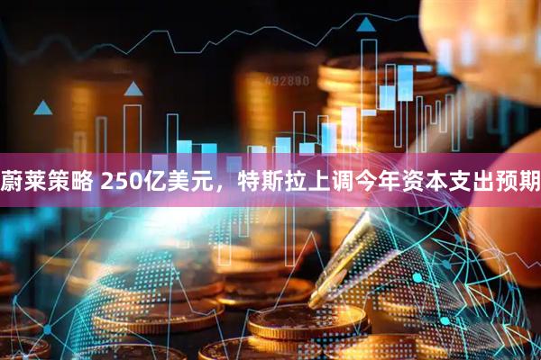 蔚莱策略 250亿美元，特斯拉上调今年资本支出预期