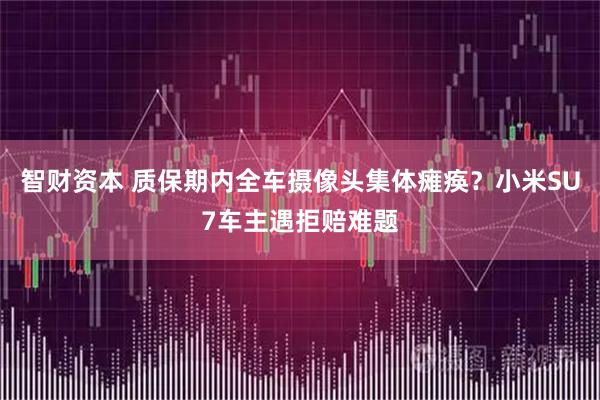 智财资本 质保期内全车摄像头集体瘫痪？小米SU7车主遇拒赔难题