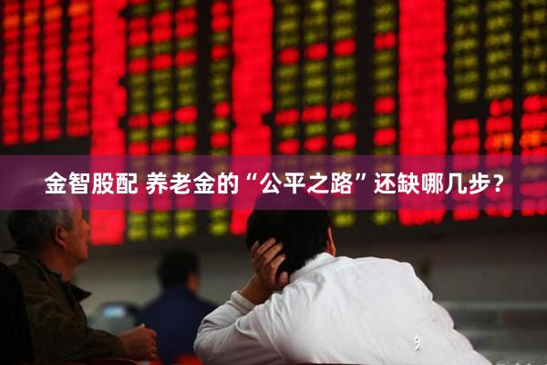 金智股配 养老金的“公平之路”还缺哪几步？