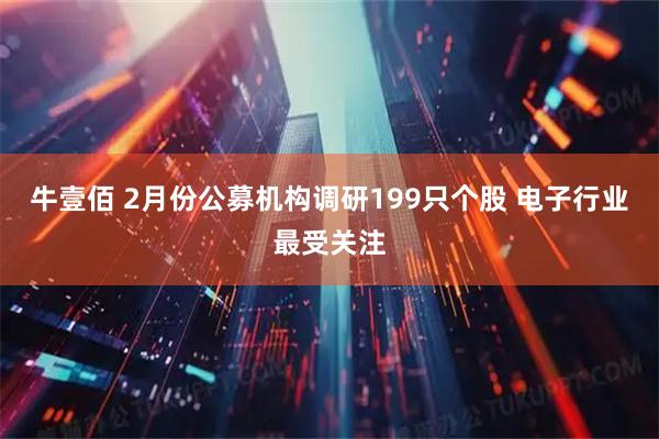 牛壹佰 2月份公募机构调研199只个股 电子行业最受关注