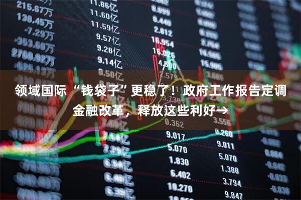 领域国际 “钱袋子”更稳了！政府工作报告定调金融改革，释放这些利好→