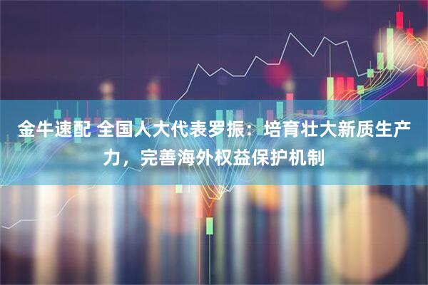 金牛速配 全国人大代表罗振：培育壮大新质生产力，完善海外权益保护机制