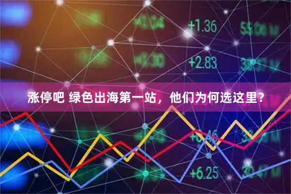 涨停吧 绿色出海第一站，他们为何选这里？
