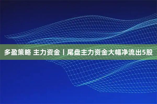 多盈策略 主力资金丨尾盘主力资金大幅净流出5股