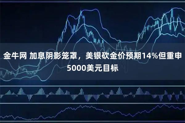 金牛网 加息阴影笼罩，美银砍金价预期14%但重申5000美元目标