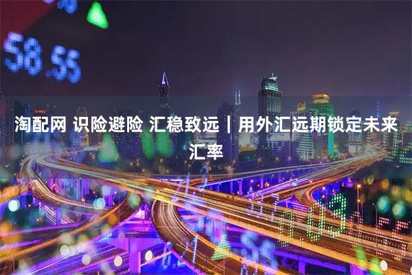 淘配网 识险避险 汇稳致远｜用外汇远期锁定未来汇率